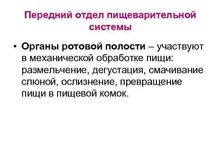 Передний отдел пищеварительной системы • Органы ротовой полости – участвуют в механической обработке пищи: