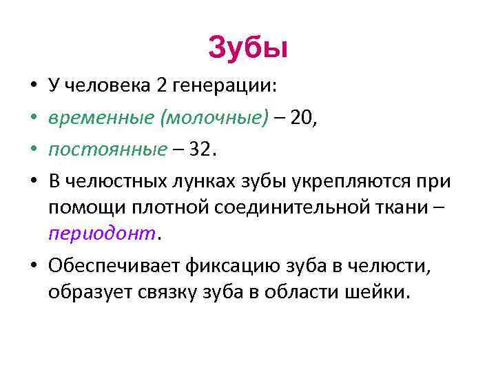 Зубы У человека 2 генерации: временные (молочные) – 20, постоянные – 32. В челюстных