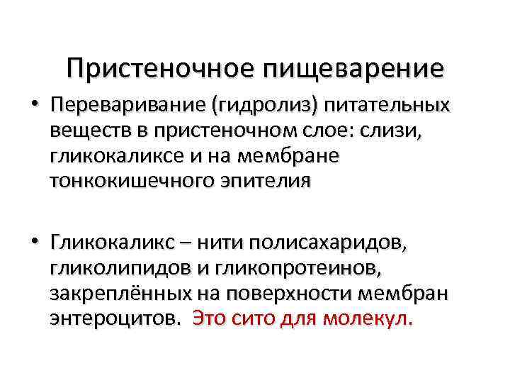 Пристеночное пищеварение • Переваривание (гидролиз) питательных веществ в пристеночном слое: слизи, гликокаликсе и на