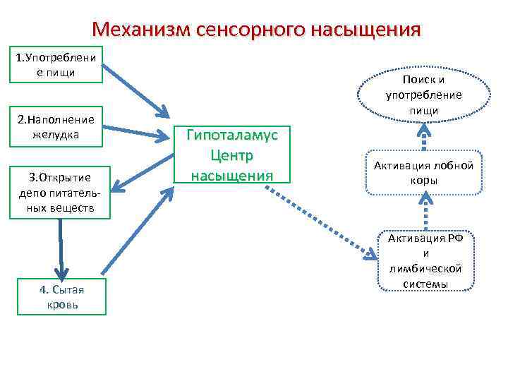 Механизм сенсорного насыщения 1. Употреблени е пищи 2. Наполнение желудка 3. Открытие депо питательных