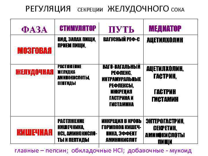 РЕГУЛЯЦИЯ СЕКРЕЦИИ ЖЕЛУДОЧНОГО СОКА главные – пепсин; обкладочные HCl; добавочные - мукоид 