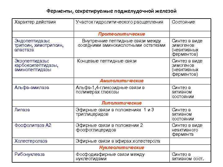 Ферменты, секретируемые поджелудочной железой Характер действия Эндопептидазы: трипсин, химотрипсин, эластаза Экзопептидазы: карбоксипептидазы, аминопептидазы Участок