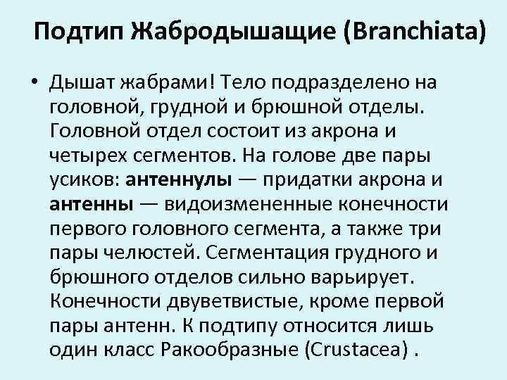 Подтип Жабродышащие (Branchiata) • Дышат жабрами! Тело подразделено на головной, грудной и брюшной отделы.