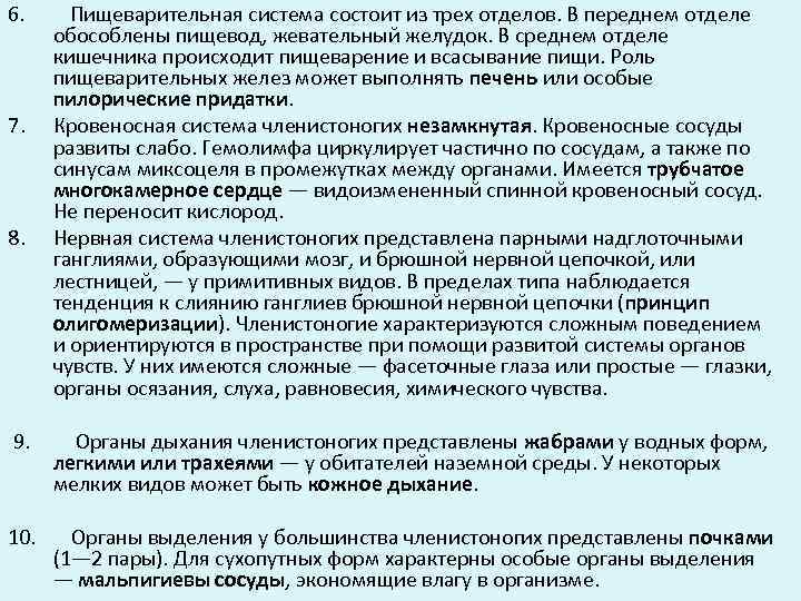 6. 7. 8. Пищеварительная система состоит из трех отделов. В переднем отделе обособлены пищевод,