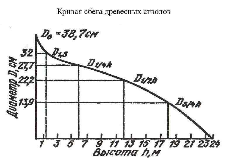 Кривая сбега древесных стволов 