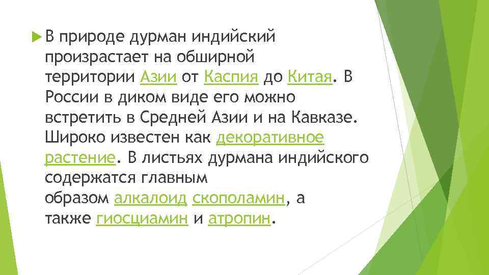  В природе дурман индийский произрастает на обширной территории Азии от Каспия до Китая.