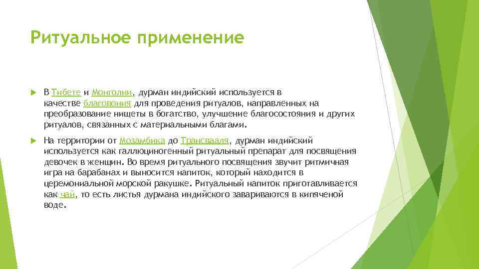 Ритуальное применение В Тибете и Монголии, дурман индийский используется в качестве благовония для проведения