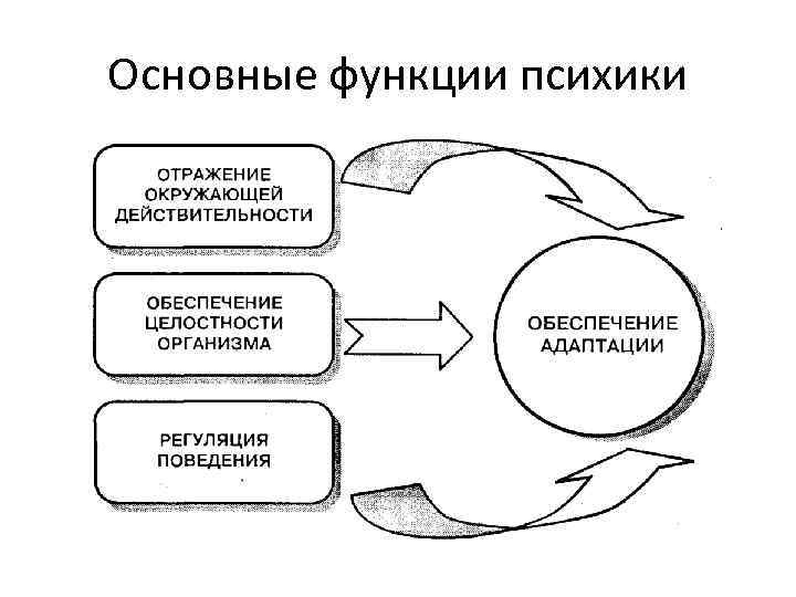 Основные функции психики 