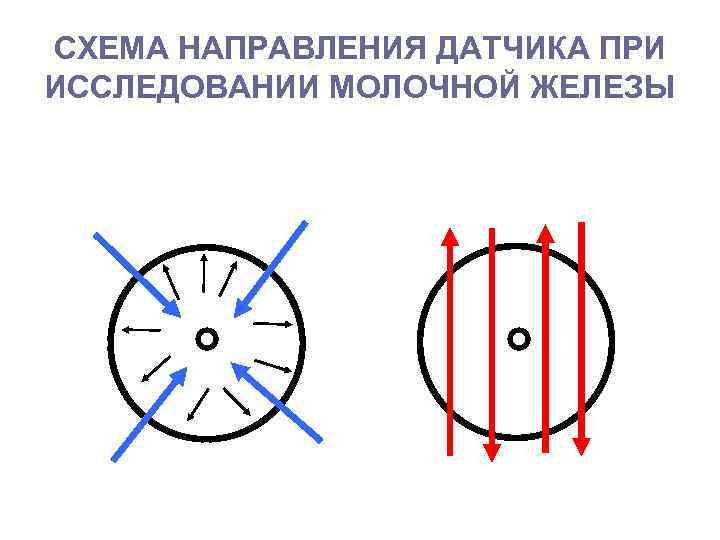 СХЕМА НАПРАВЛЕНИЯ ДАТЧИКА ПРИ ИССЛЕДОВАНИИ МОЛОЧНОЙ ЖЕЛЕЗЫ 