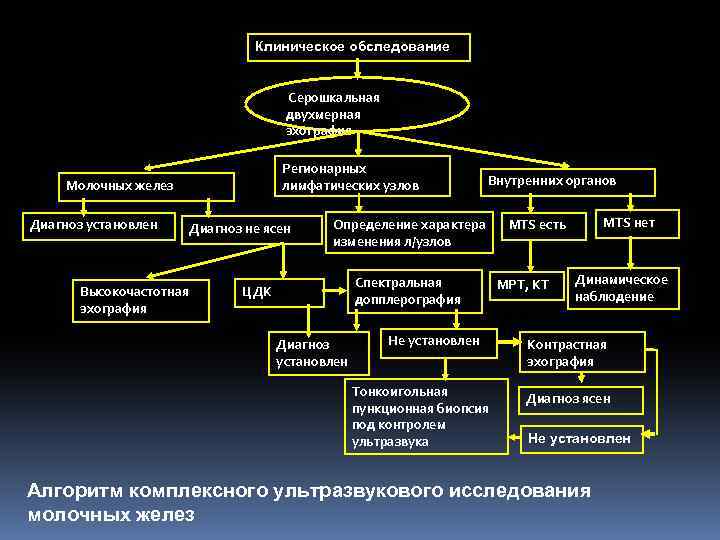 Клиническое обследование Серошкальная двухмерная эхография Регионарных лимфатических узлов Молочных желез Диагноз установлен Диагноз не