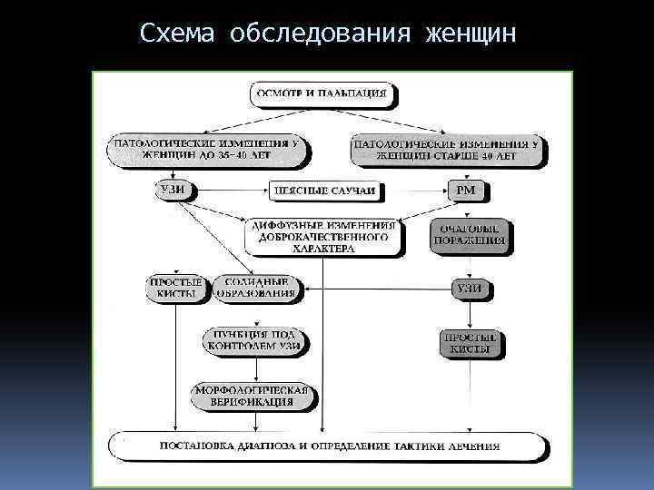 Соломаха серебрякова схема обследования