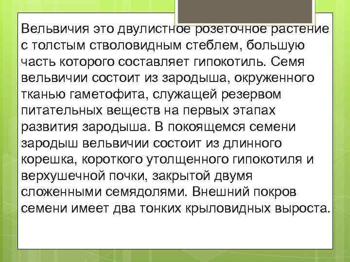 Вельвичия это двулистное розеточное растение с толстым стволовидным стеблем, большую часть которого составляет гипокотиль.