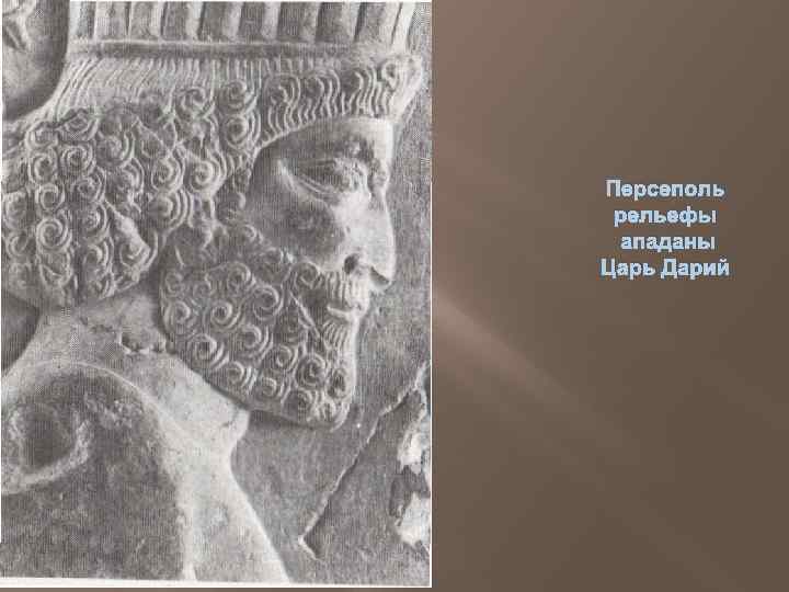 Я дарий царь великий впр 5 класс. Царь Дарий. Дарий цветок царь. Дарий, сын Ассуирова,.