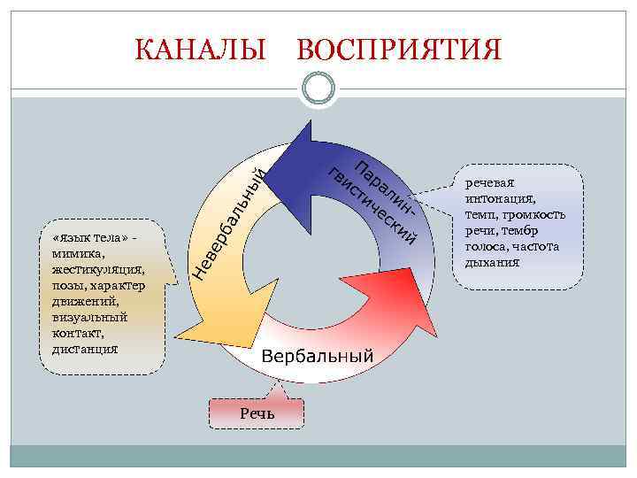 5 типов восприятия. Каналы восприятия информации. Каналы восприятия в психологии. Субъективные каналы восприятия и передачи информации. Каналы человеческого восприятия.