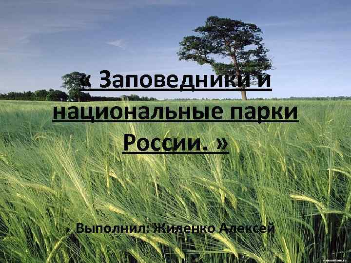  « Заповедники и национальные парки России. » Выполнил: Жиленко Алексей 