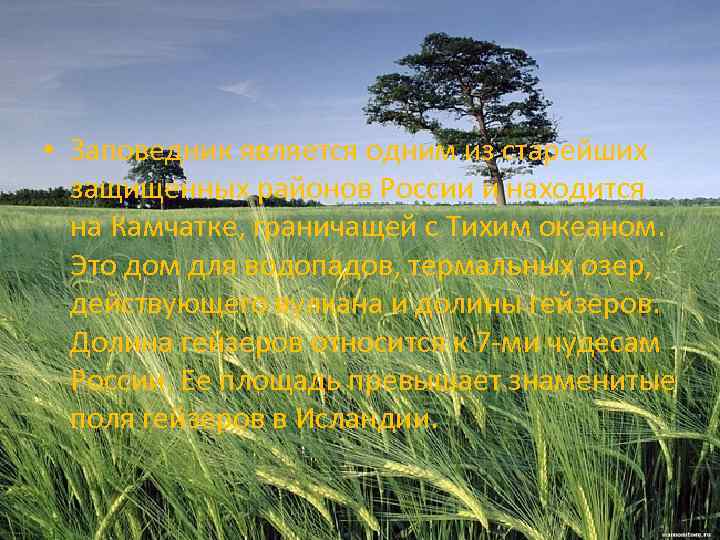  • Заповедник является одним из старейших защищенных районов России и находится на Камчатке,