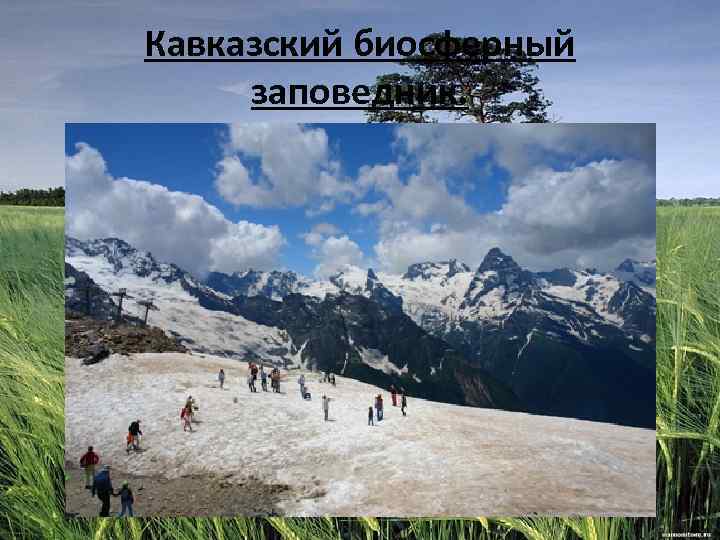 Кавказский биосферный заповедник. 