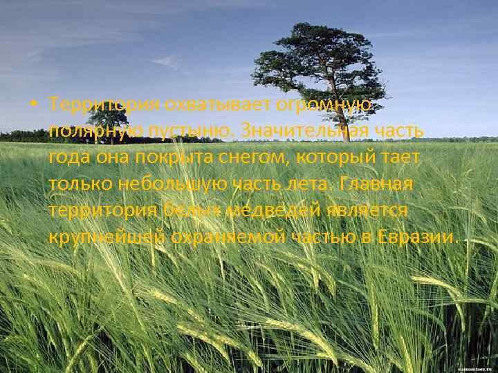  • Территория охватывает огромную полярную пустыню. Значительная часть года она покрыта снегом, который