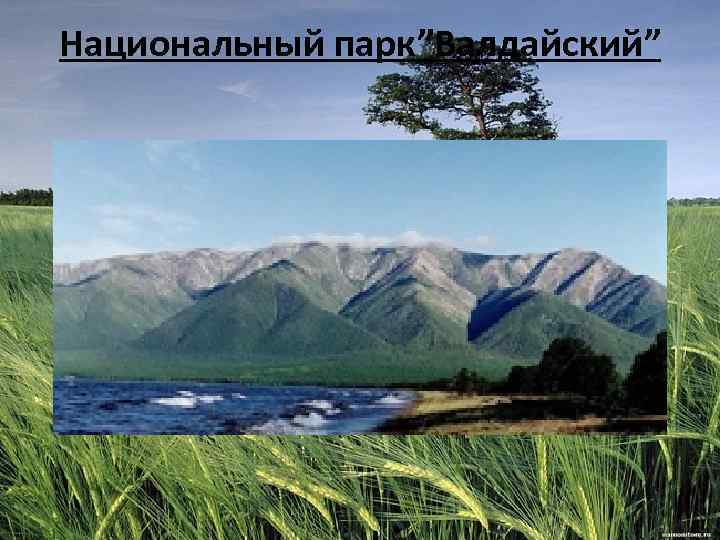 Национальный парк”Валдайский” 