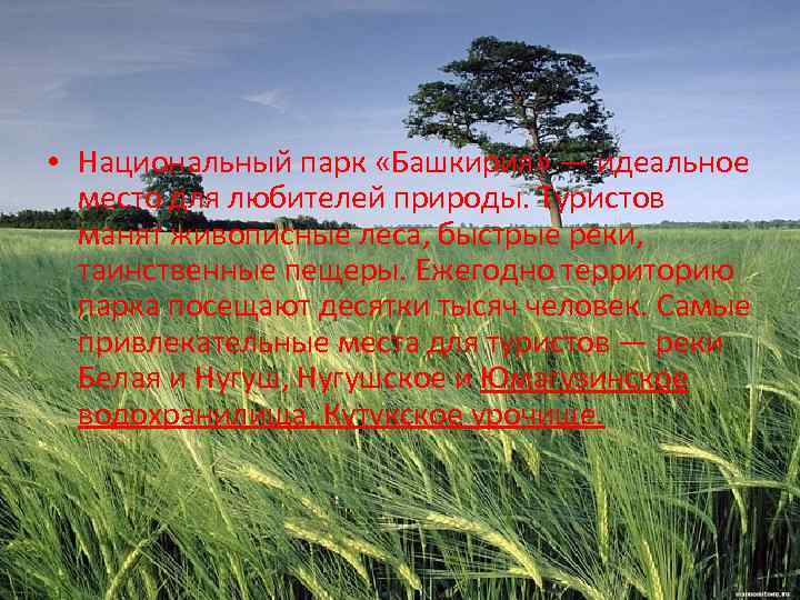  • Национальный парк «Башкирия» — идеальное место для любителей природы. Туристов манят живописные