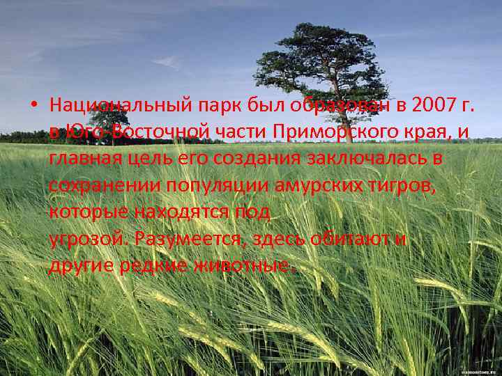  • Национальный парк был образован в 2007 г. в Юго-Восточной части Приморского края,