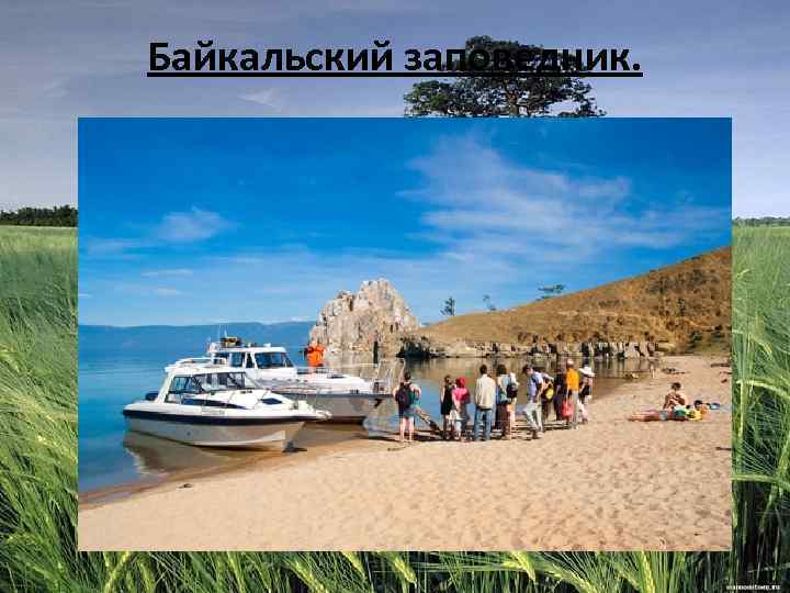 Байкальский заповедник. 