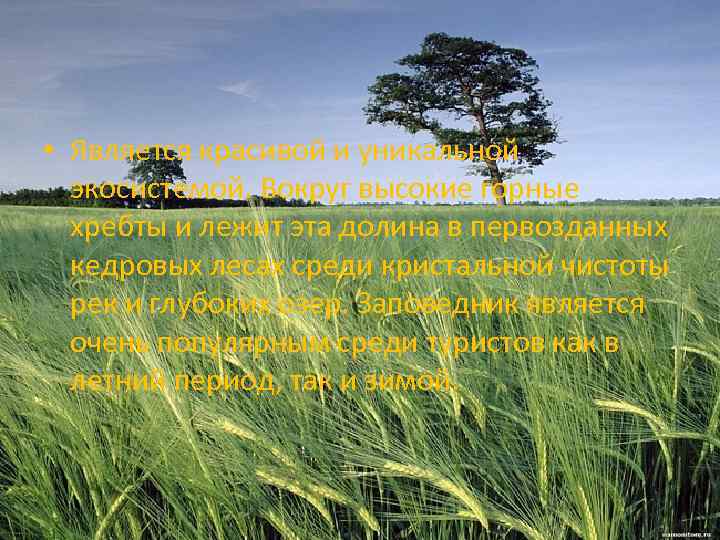  • Является красивой и уникальной экосистемой. Вокруг высокие горные хребты и лежит эта