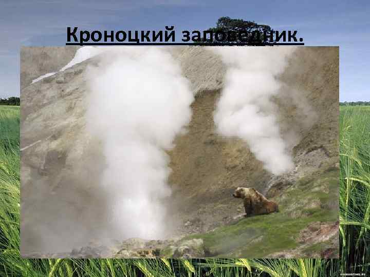 Кроноцкий заповедник. 