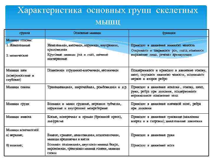 Лабораторная работа по биологии 8 класс мышцы