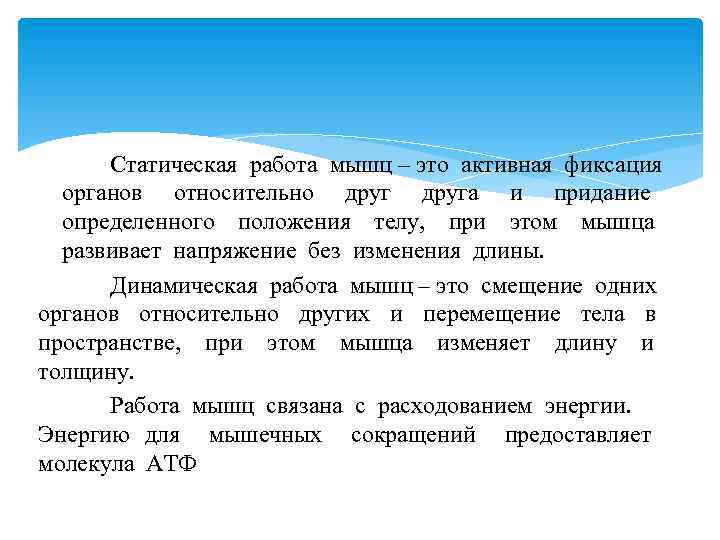 Статическая работа мышц – это активная фиксация органов относительно друга и придание определенного положения