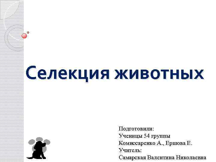 Селекция животных Подготовили: Ученицы 54 группы Комиссаренко А. , Ершова Е. Учитель: Самарская Валентина