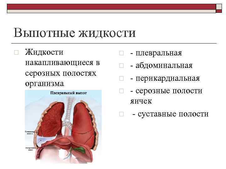 Выпотные жидкости o Жидкости накапливающиеся в серозных полостях организма o o o - плевральная