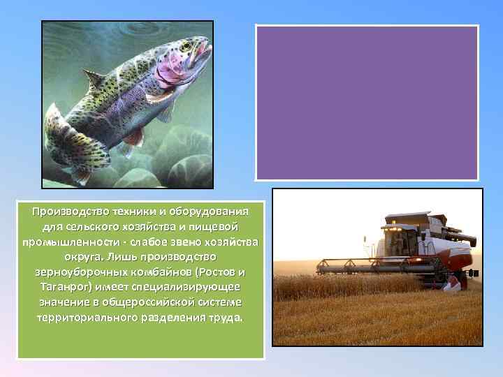 Производство техники и оборудования для сельского хозяйства и пищевой промышленности - слабое звено хозяйства