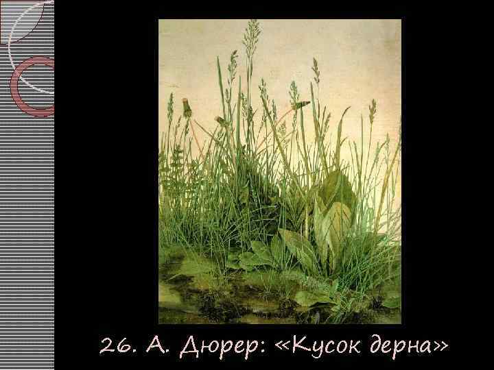 26. А. Дюрер: «Кусок дерна» 