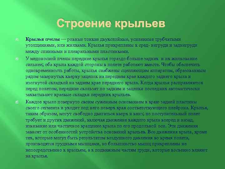 Строение крыльев Крылья пчелы — ровные тонкие двухслойные, усиленные трубчатыми утолщениями, или жилками. Крылья