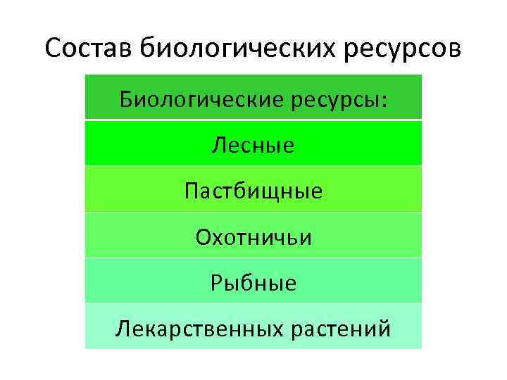 Состав биологических ресурсов Биологические ресурсы: Лесные Пастбищные Охотничьи Рыбные Лекарственных растений 