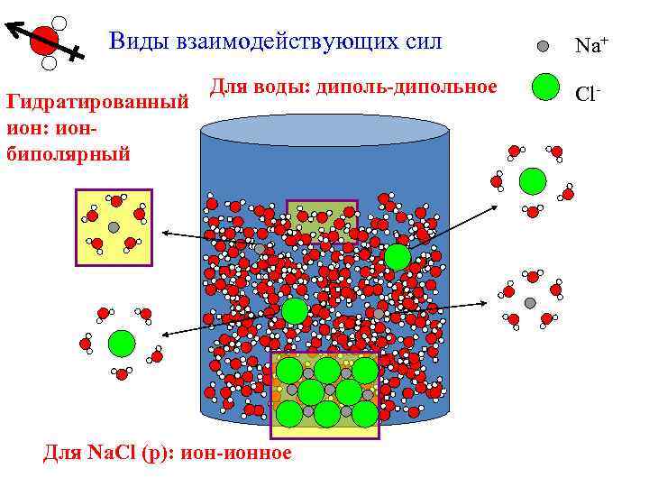 Виды взаимодействующих сил Гидратированный ион: ионбиполярный Для воды: диполь-дипольное Для Na. Cl (р): ион-ионное