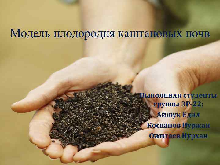 Модель плодородия каштановых почв Выполнили студенты группы ЭР-22: Айшук Едил Коспанов Нуржан Ожитаев Нурхан