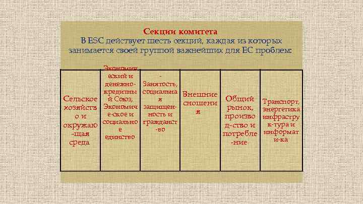 Секции комитета В ESC действует шесть секций, каждая из которых занимается своей группой важнейших