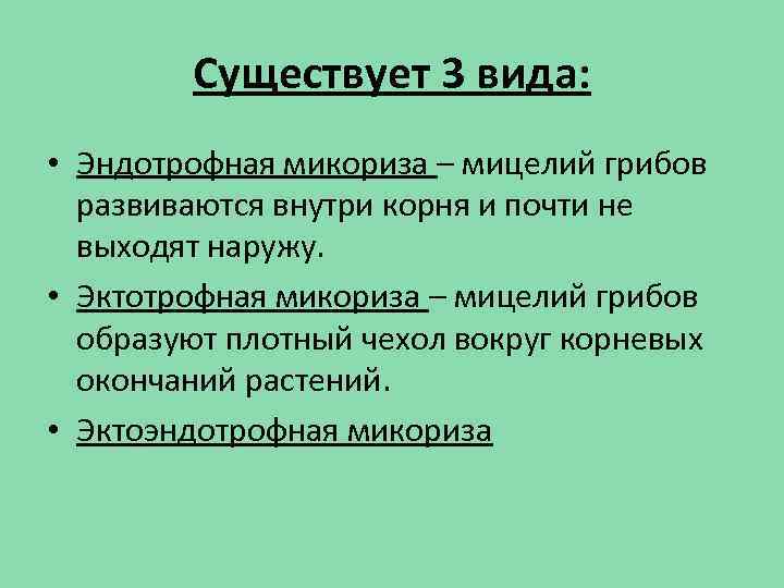 Существует 3 вида: • Эндотрофная микориза – мицелий грибов развиваются внутри корня и почти