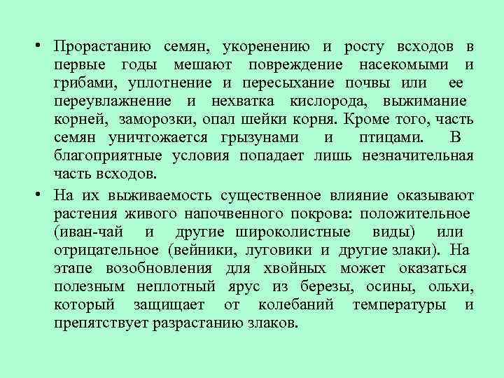  • Прорастанию семян, укоренению и росту всходов в первые годы мешают повреждение насекомыми