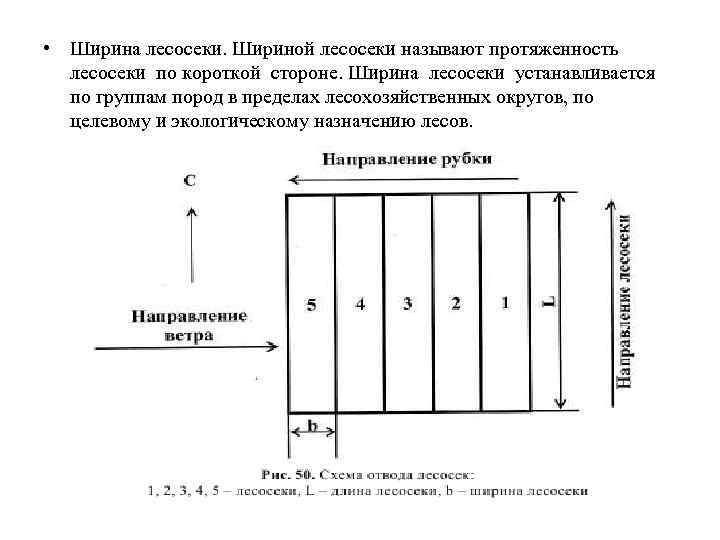 Сроки примыкания лесосек