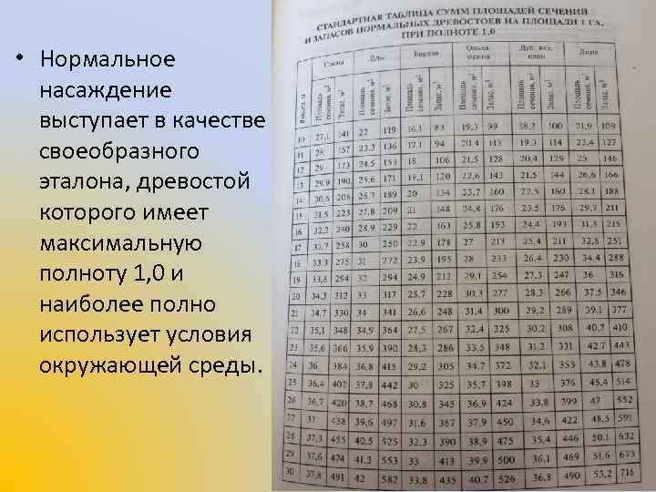  • Нормальное насаждение выступает в качестве своеобразного эталона, древостой которого имеет максимальную полноту