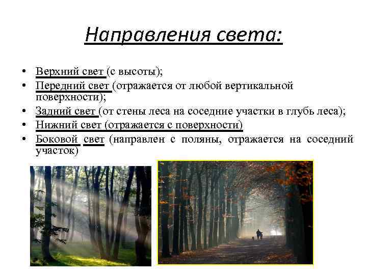 Направления света: • Верхний свет (с высоты); • Передний свет (отражается от любой вертикальной