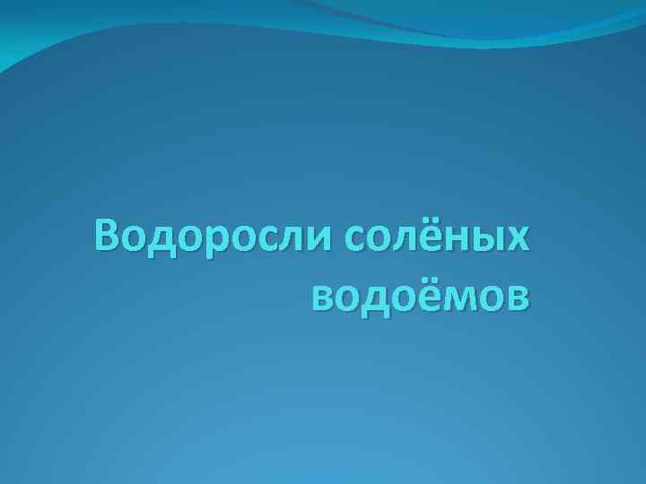 Водоросли солёных водоёмов 