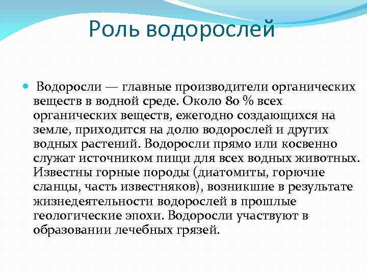 Роль водорослей Водоросли — главные производители органических веществ в водной среде. Около 80 %