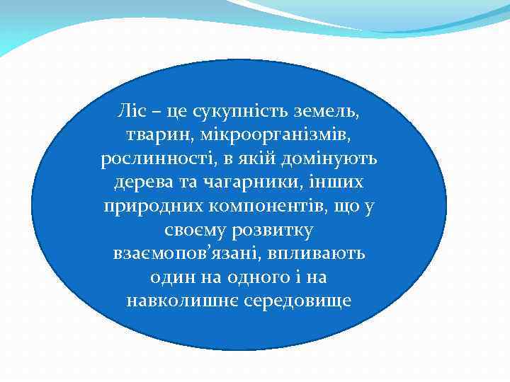 Ліс – це сукупність земель, тварин, мікроорганізмів, рослинності, в якій домінують дерева та чагарники,