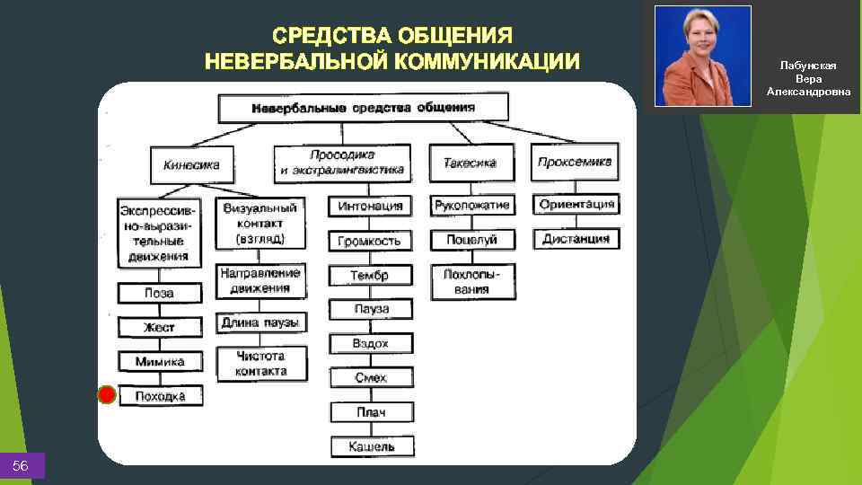 СРЕДСТВА ОБЩЕНИЯ НЕВЕРБАЛЬНОЙ КОММУНИКАЦИИ 56 Лабунская Вера Александровна 