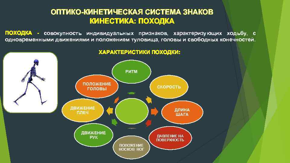 ОПТИКО-КИНЕТИЧЕСКАЯ СИСТЕМА ЗНАКОВ КИНЕСТИКА: ПОХОДКА - совокупность индивидуальных признаков, характеризующих ходьбу, с одновременными движениями