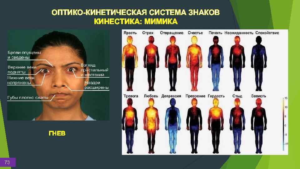 ОПТИКО-КИНЕТИЧЕСКАЯ СИСТЕМА ЗНАКОВ КИНЕСТИКА: МИМИКА ГНЕВ 73 